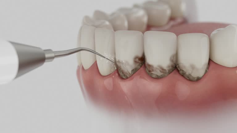 Reliable Dental contractor in Mount Pleasant, TX by Dentist Open Now